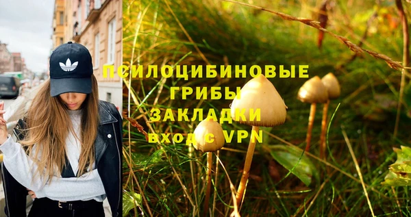 хмурый Алексин