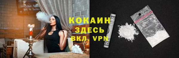стафф Алзамай