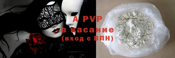 стафф Алзамай