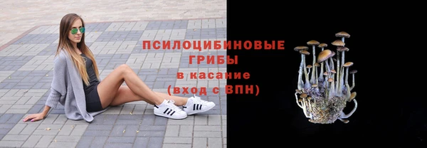 первитин Алексеевка