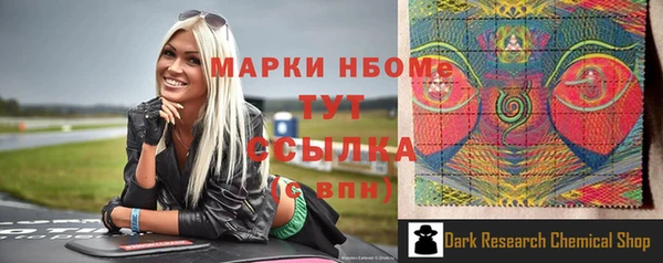 стафф Алзамай