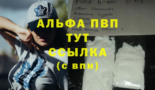стафф Алзамай