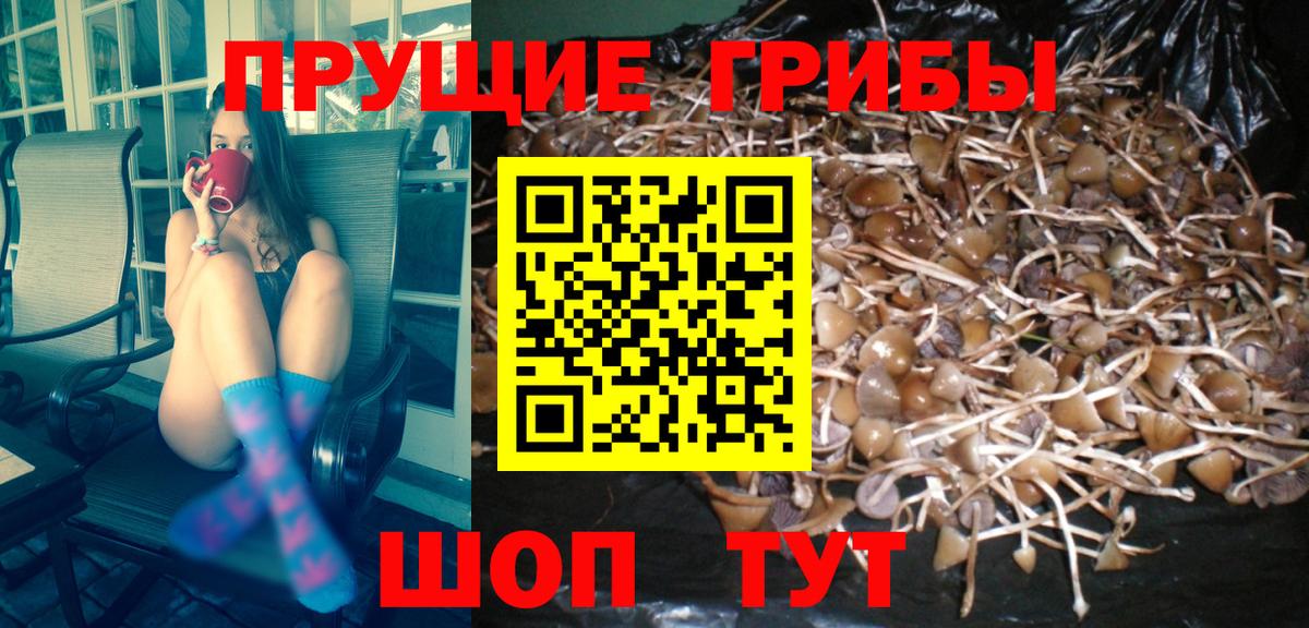 Павлово  Галлюциногенные грибы прущие грибы  Псилоцибиновые грибы прущие грибы  Вход с VPN 