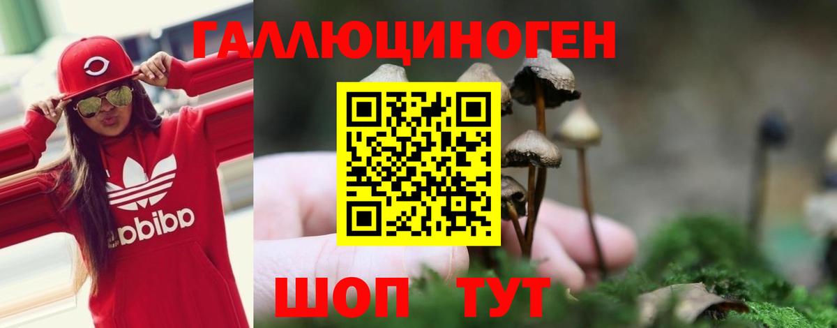 Псилоцибиновые грибы Cubensis Павлово